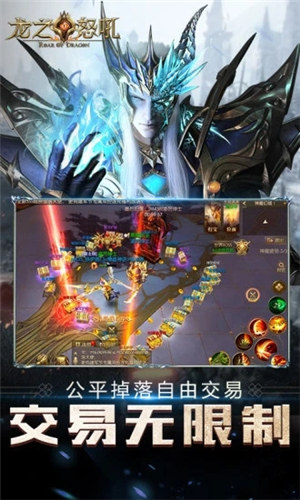 龙之怒吼游戏