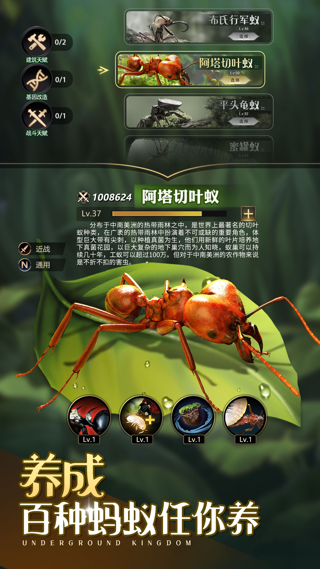 小小蚁国解锁版蚁巢满级截图