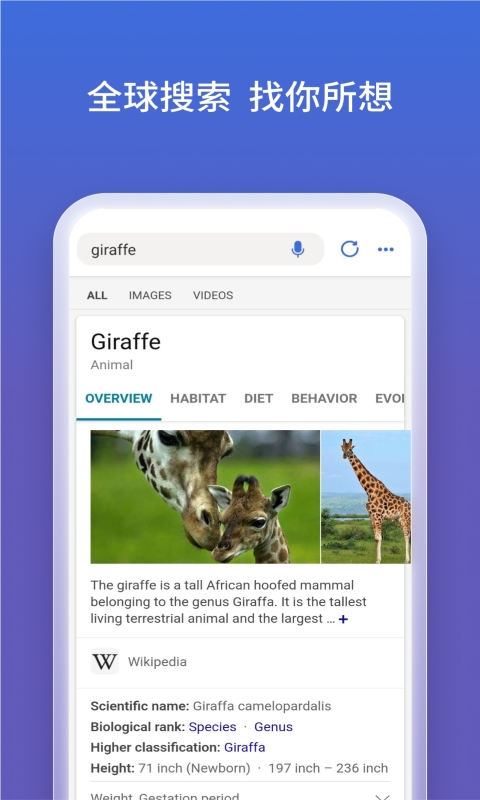 微软必应搜索app安卓版截图